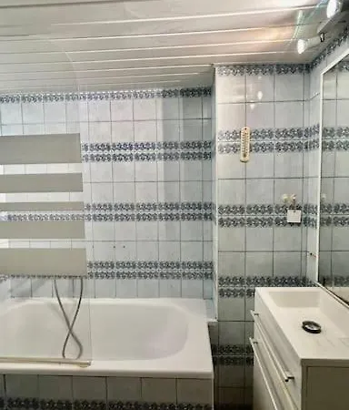 - Serene - Wifi - Fully Equipped 格勒诺布尔